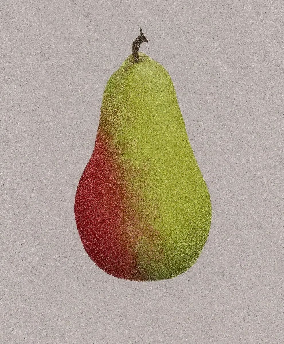 油彩画　S.OTAKE　静物画 油彩画 S.OTAKE 静物画