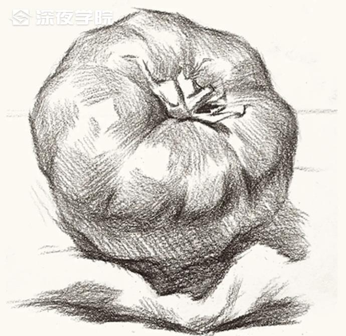 零基础学静物素描必须掌握的绘画要点-原画插画资源-深夜学院