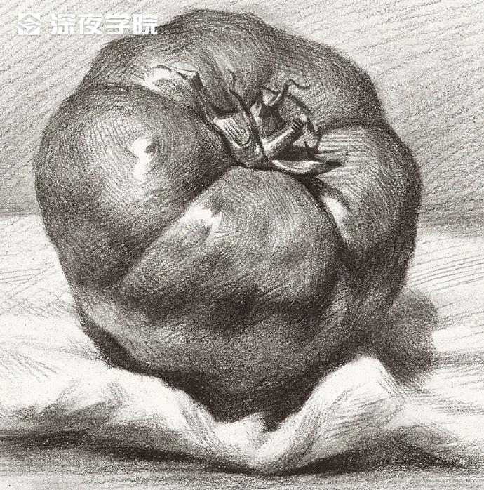 零基础学静物素描必须掌握的绘画要点-原画插画资源-深夜学院