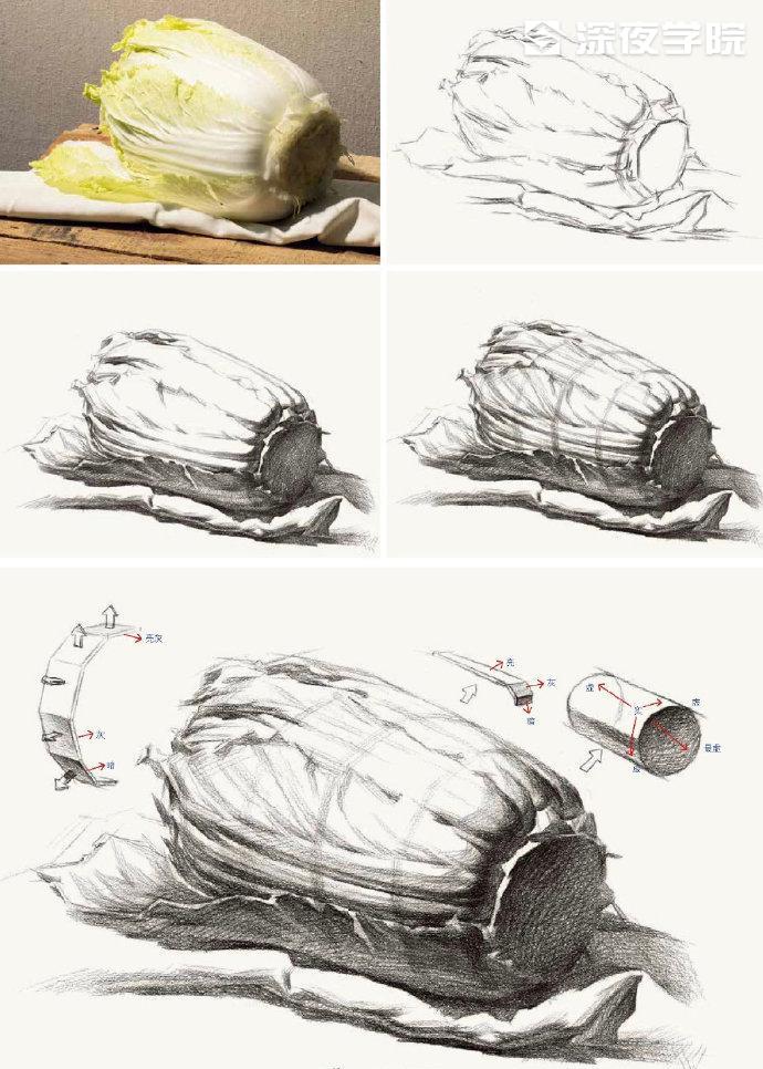 素描不同个体要如何观察？素描静物画法技巧，速看！-原画插画资源-深夜学院