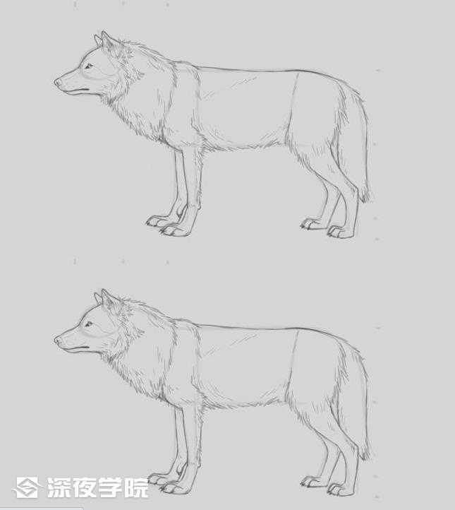 素描动物教程:狼的画法-原画插画资源-cg导航-让cg人上网更便捷